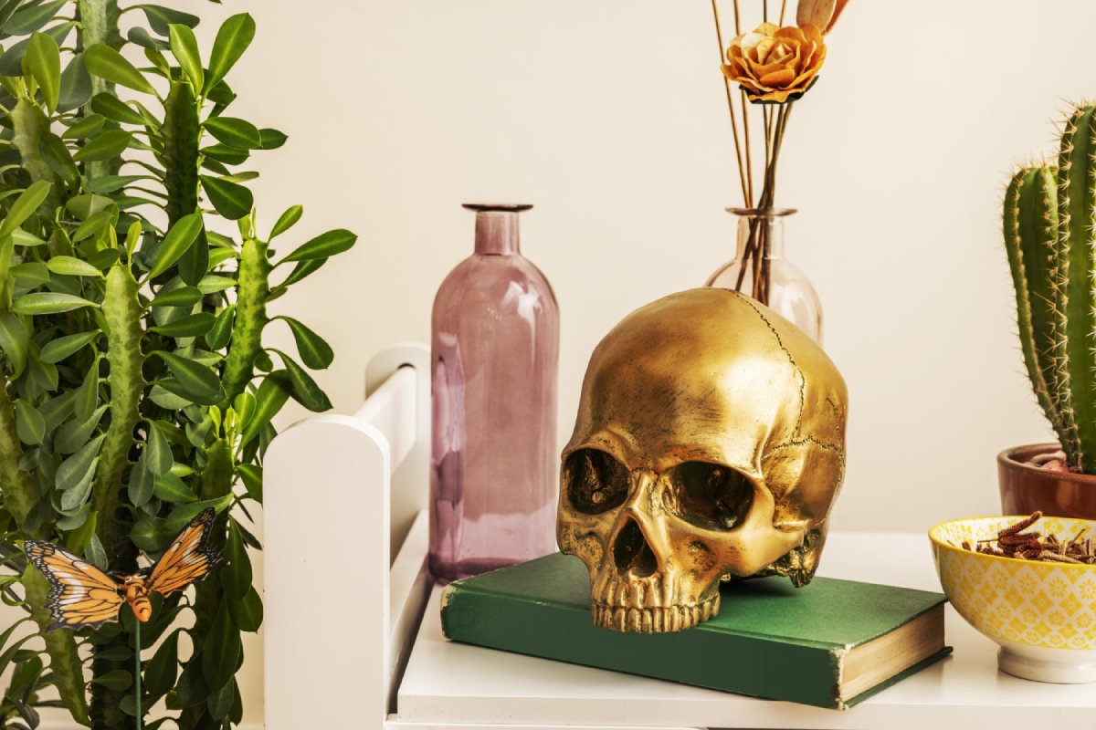 Comment choisir un crâne décoratif adapté à votre style