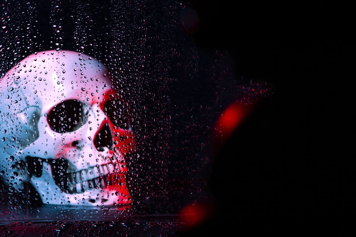 Comment entretenir votre rideau de douche tête de mort