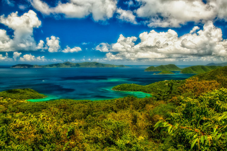 Des têtes de mort révèlent la vérité sur les cannibales des Caraïbes - 2