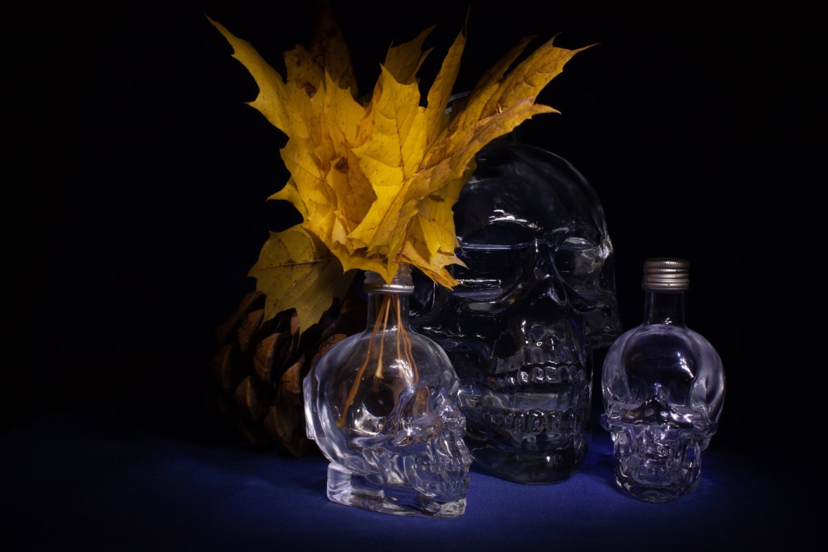 Les différentes tailles et formes de bouteilles tête de mort en verre (avec ou sans bouchon)