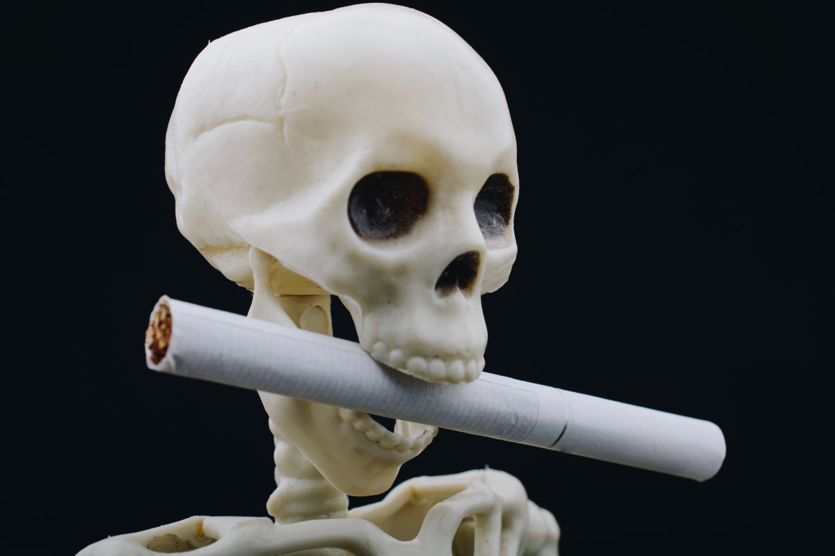 Quel est le public cible pour un cendrier tête de mort