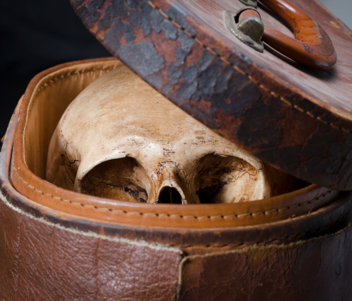 Quelle est l'origine de la tendance des accessoires tête de mort